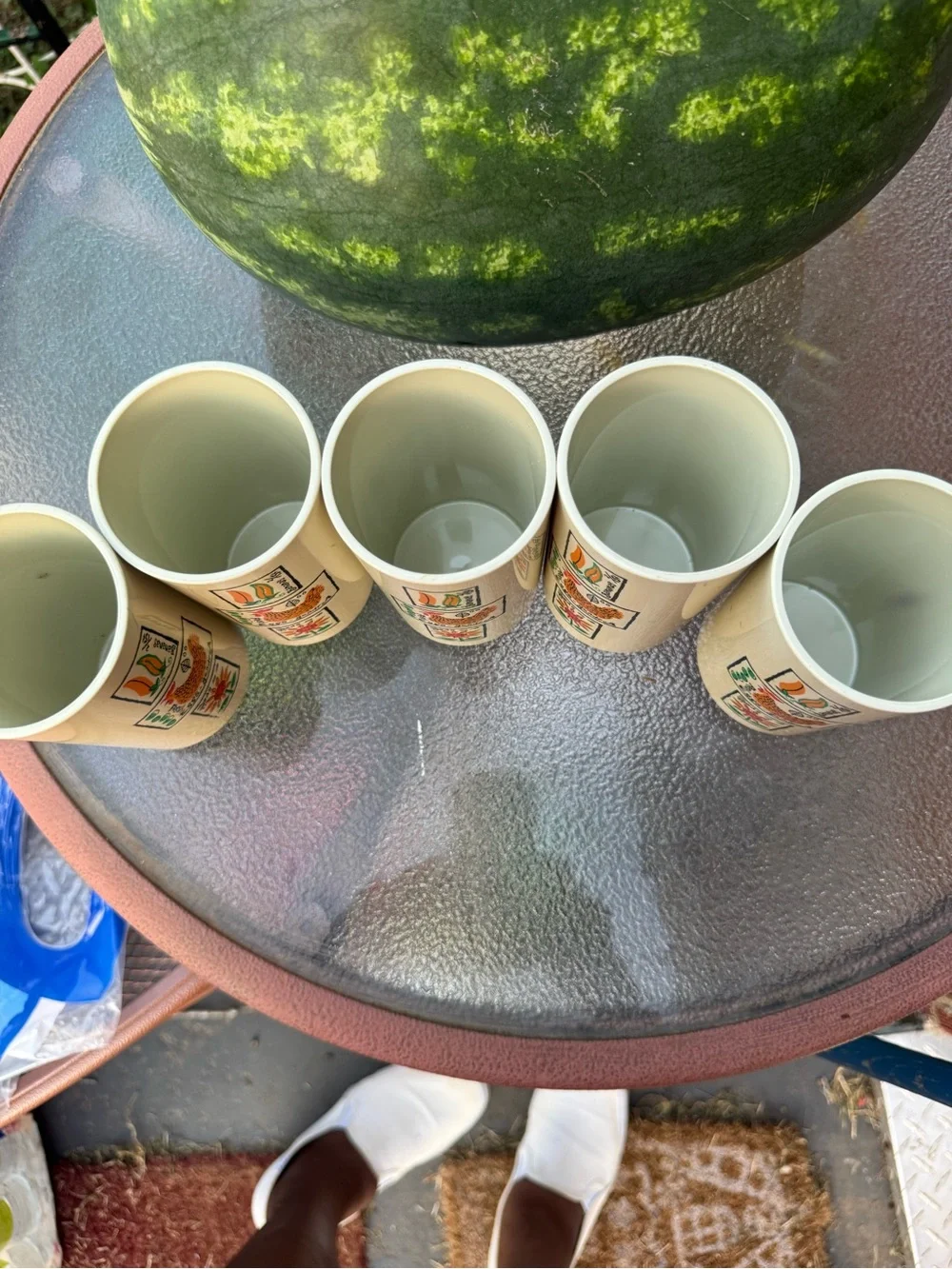 Ceramic Farmhouse Pattern Tumbler Set - Cream with Colorful Motifs